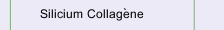 Silicium Collag&egrave;ne